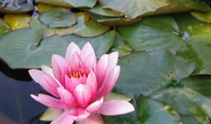 Leistungen - Allgemeinmedizin